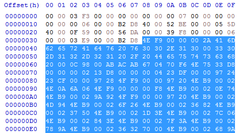 Screenshot showing code hunk start in hex editor